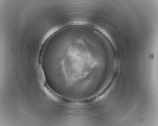 X0000091851042200709051142