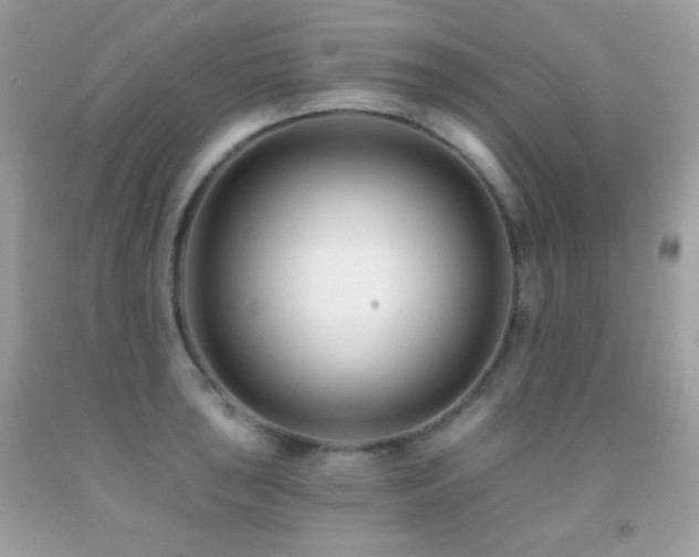 X0000091851043200709051142