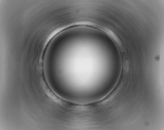 X0000091851044200709051142