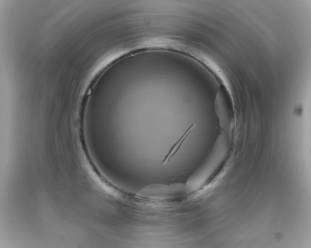 X0000091851045200709051142