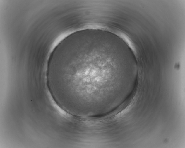 X0000091851046200709051142