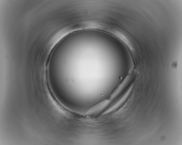 X0000091851047200709051142