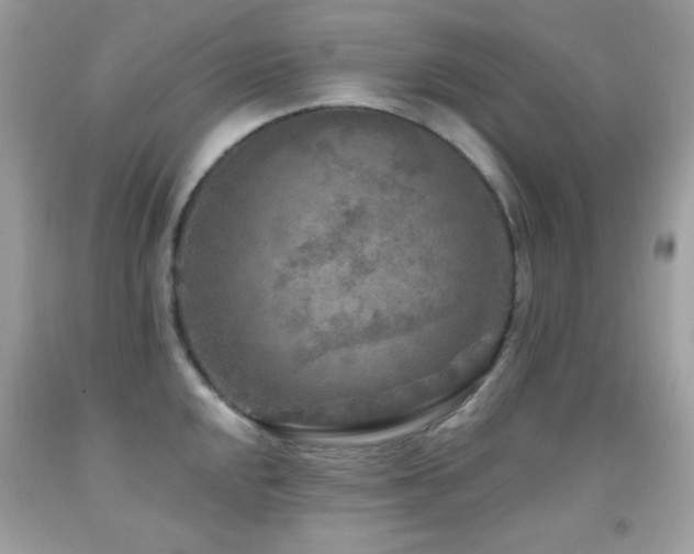 X0000091851048200709051142