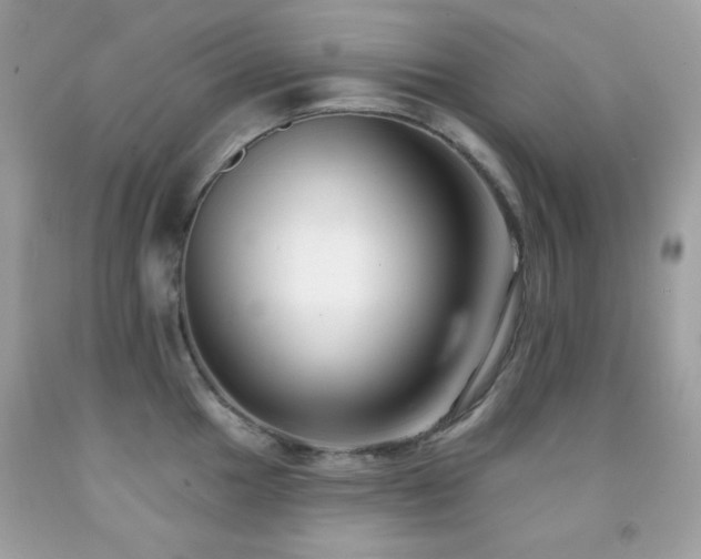 X0000091851049200709051142