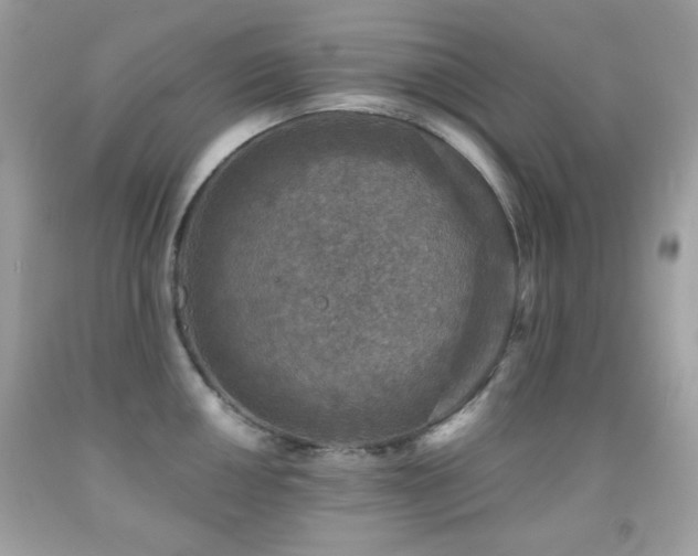 X0000091851050200709051142