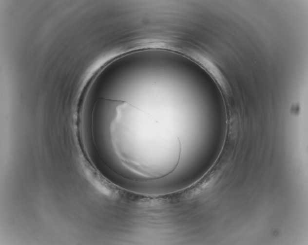 X0000091851051200709051142