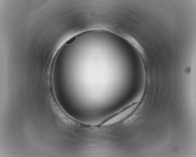 X0000091851052200709051142