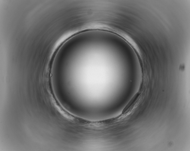 X0000091851053200709051142