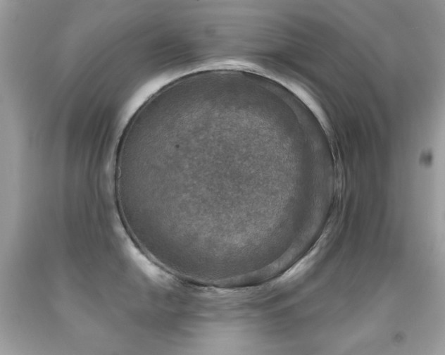 X0000091851054200709051142