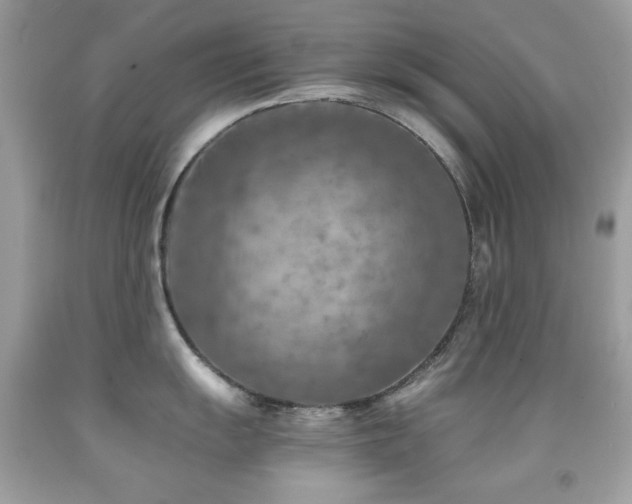 X0000091851055200709051142