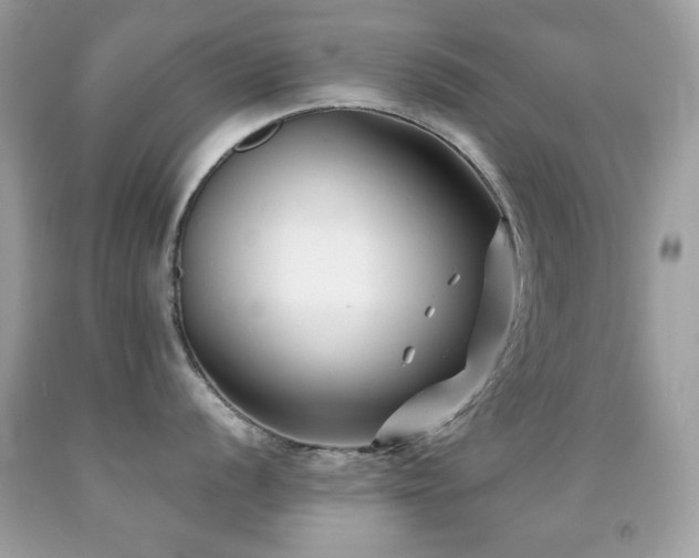 X0000091851056200709051142