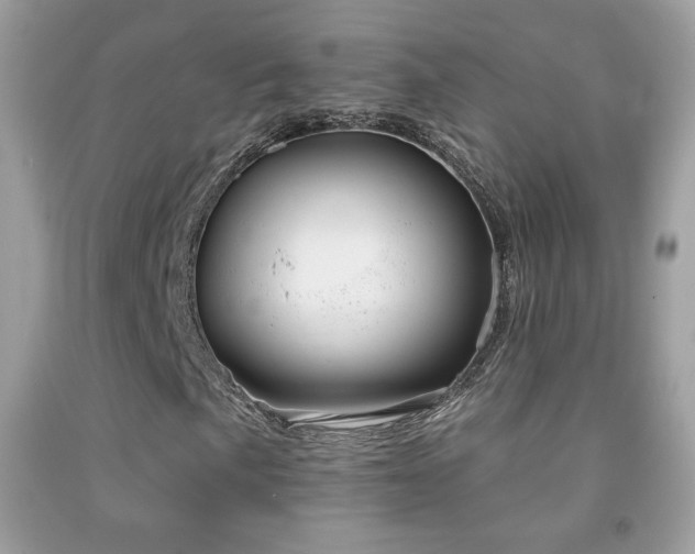 X0000091851057200709051142