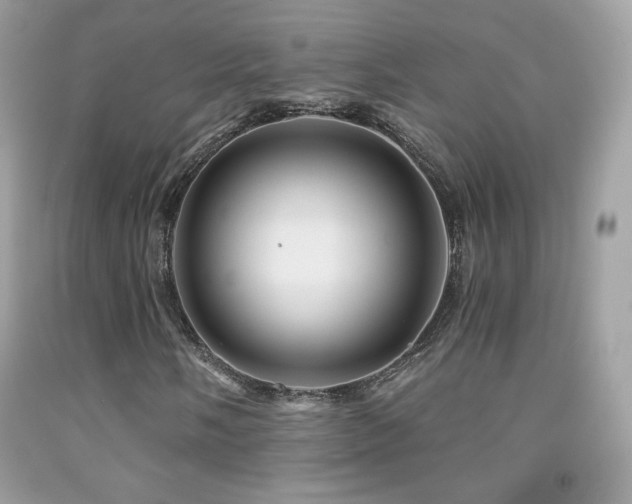 X0000091851058200709051142