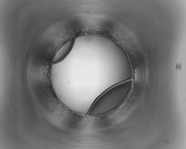 X0000091851059200709051142
