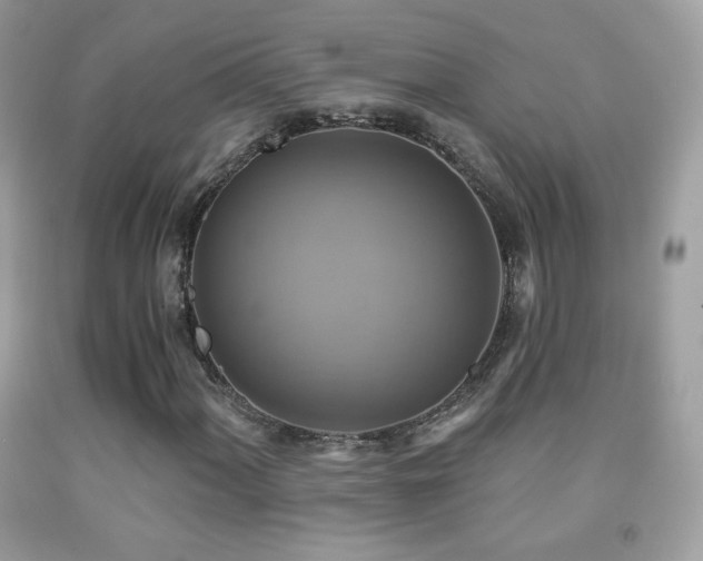X0000091851060200709051142