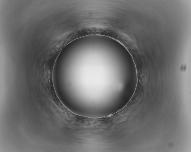 X0000091851061200709051142