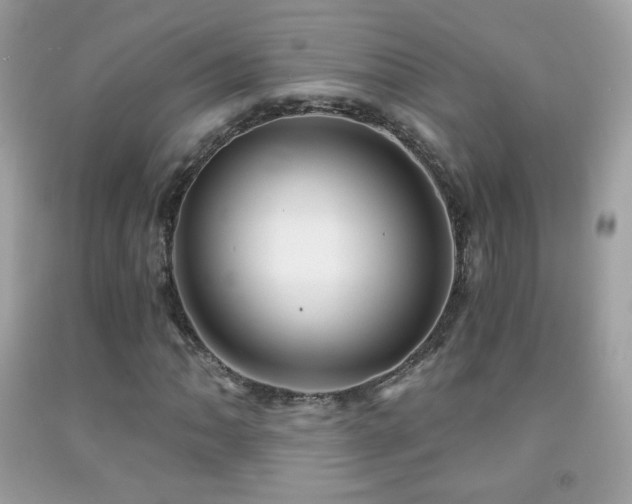 X0000091851062200709051142