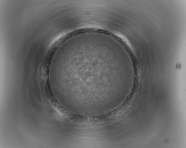 X0000091851064200709051142