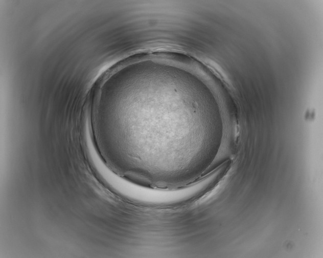 X0000091851065200709051142