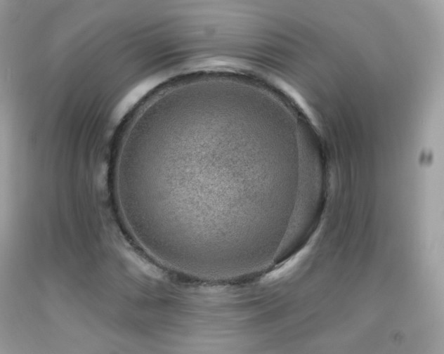X0000091851066200709051142