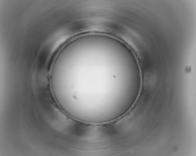 X0000091851067200709051142