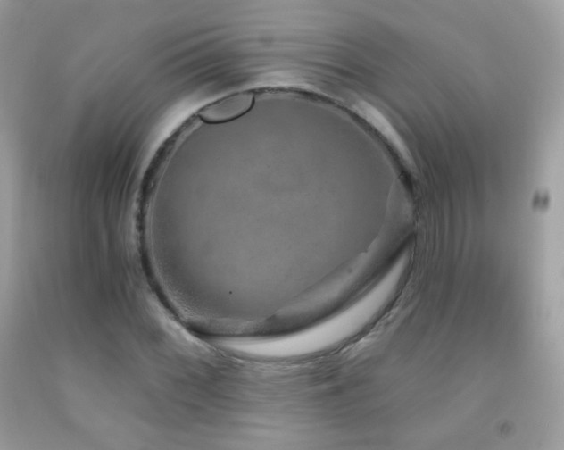 X0000091851068200709051142