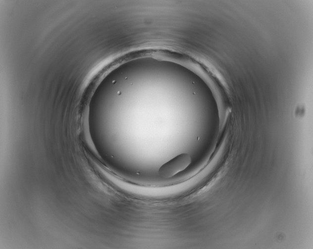 X0000091851069200709051142