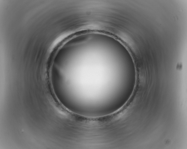 X0000091851070200709051142