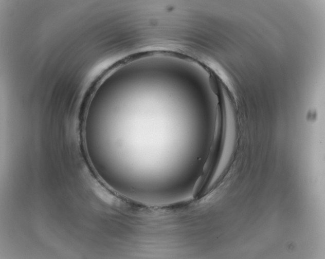 X0000091851072200709051142