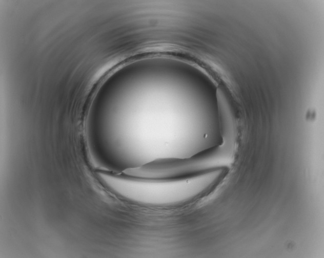 X0000091851073200709051141