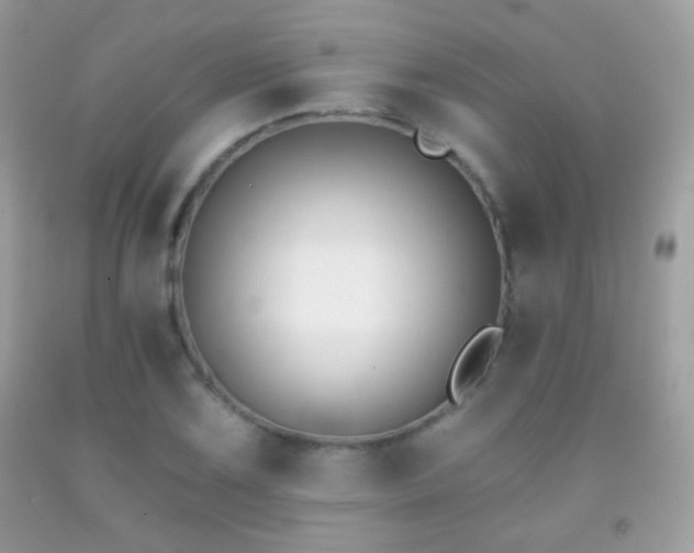 X0000091851075200709051141