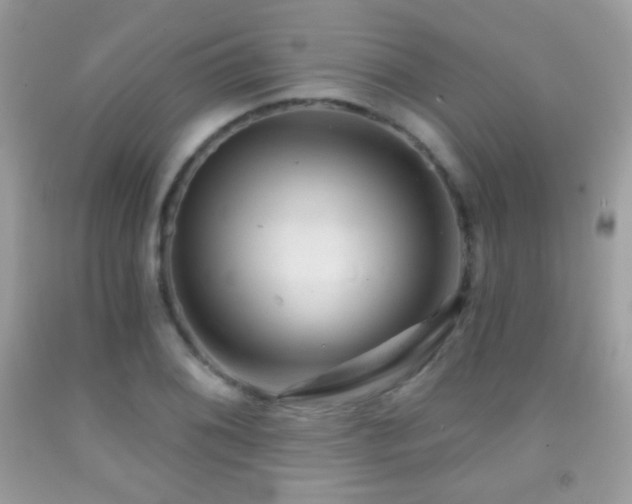 X0000091851076200709051141