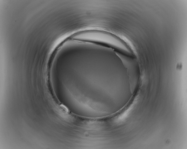 X0000091851077200709051141