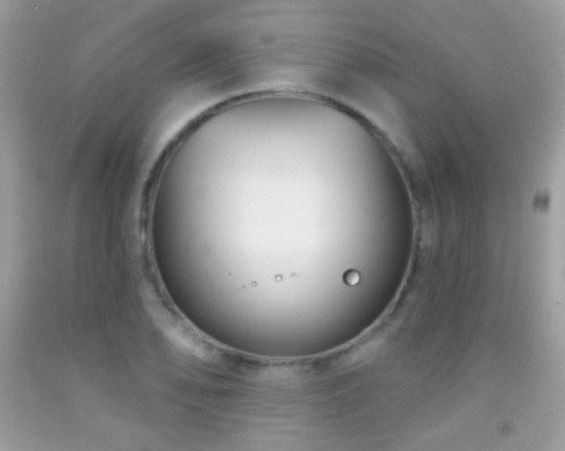 X0000091851078200709051141