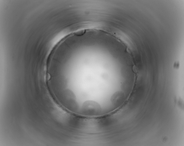 X0000091851079200709051141