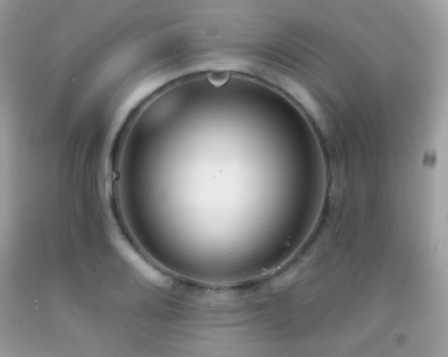 X0000091851080200709051141