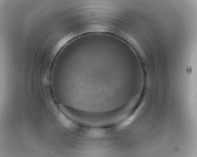 X0000091851081200709051141