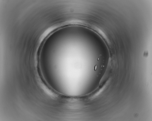 X0000091851082200709051141