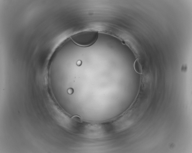X0000091851083200709051141