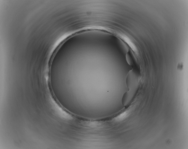 X0000091851084200709051141