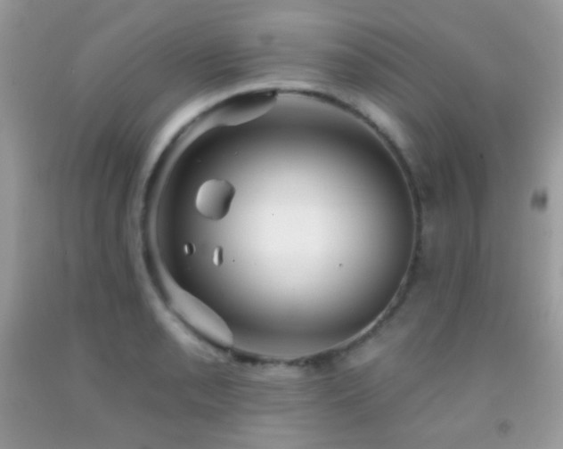X0000091851085200709051141