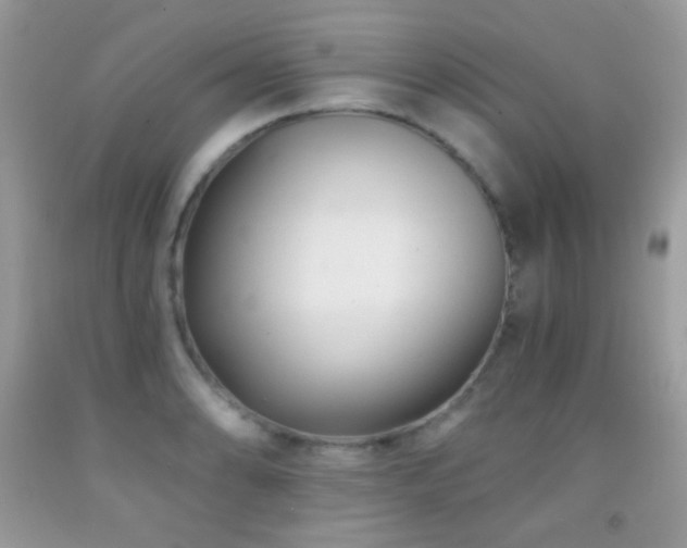 X0000091851086200709051141