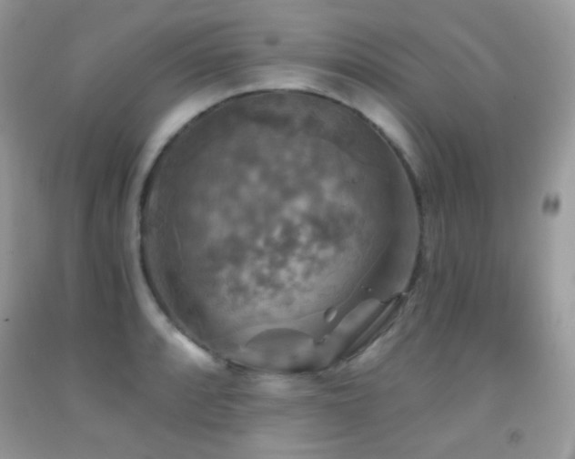 X0000091851088200709051141