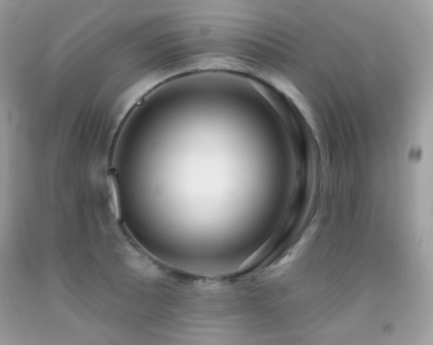 X0000091851089200709051141