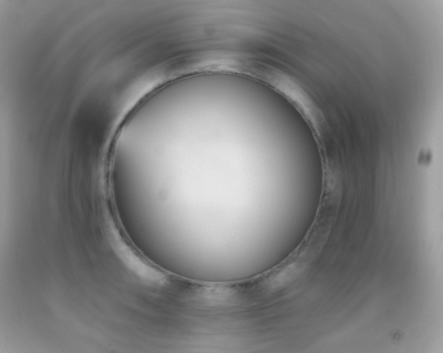 X0000091851090200709051141