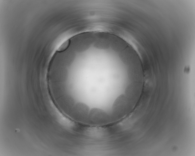 X0000091851091200709051141
