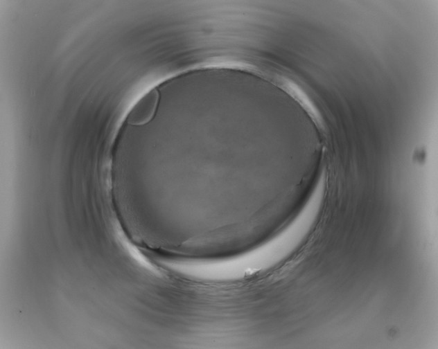 X0000091851092200709051141