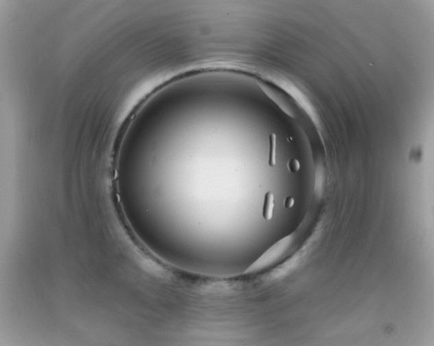 X0000091851093200709051141