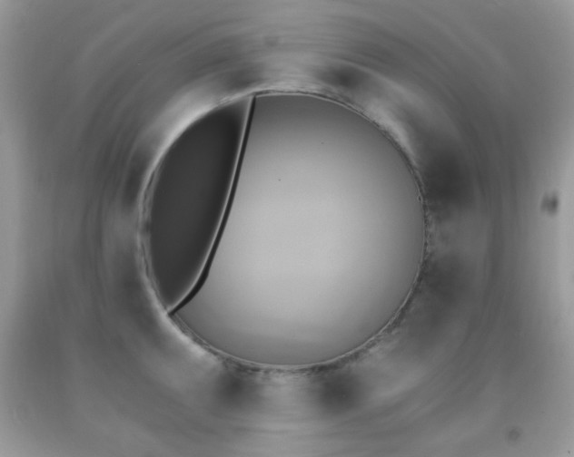X0000091851095200709051141