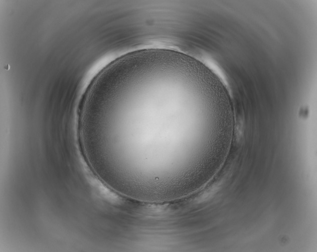 X0000091851096200709051141